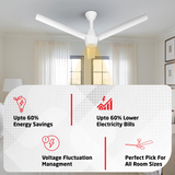 Radial Glow BLDC Ceiling Fan with 3 Mode Underlight | IR Remote | 3-Year Warranty | 1200 mm