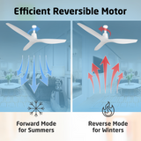 Florence BLDC Fan with RF Remote | 3-Year Warranty | 1320 mm | ABS Blades