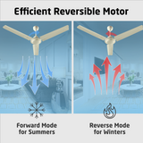 Nano XL BLDC Ceiling Fan with IR Remote | 2-Year Warranty | 1200 mm