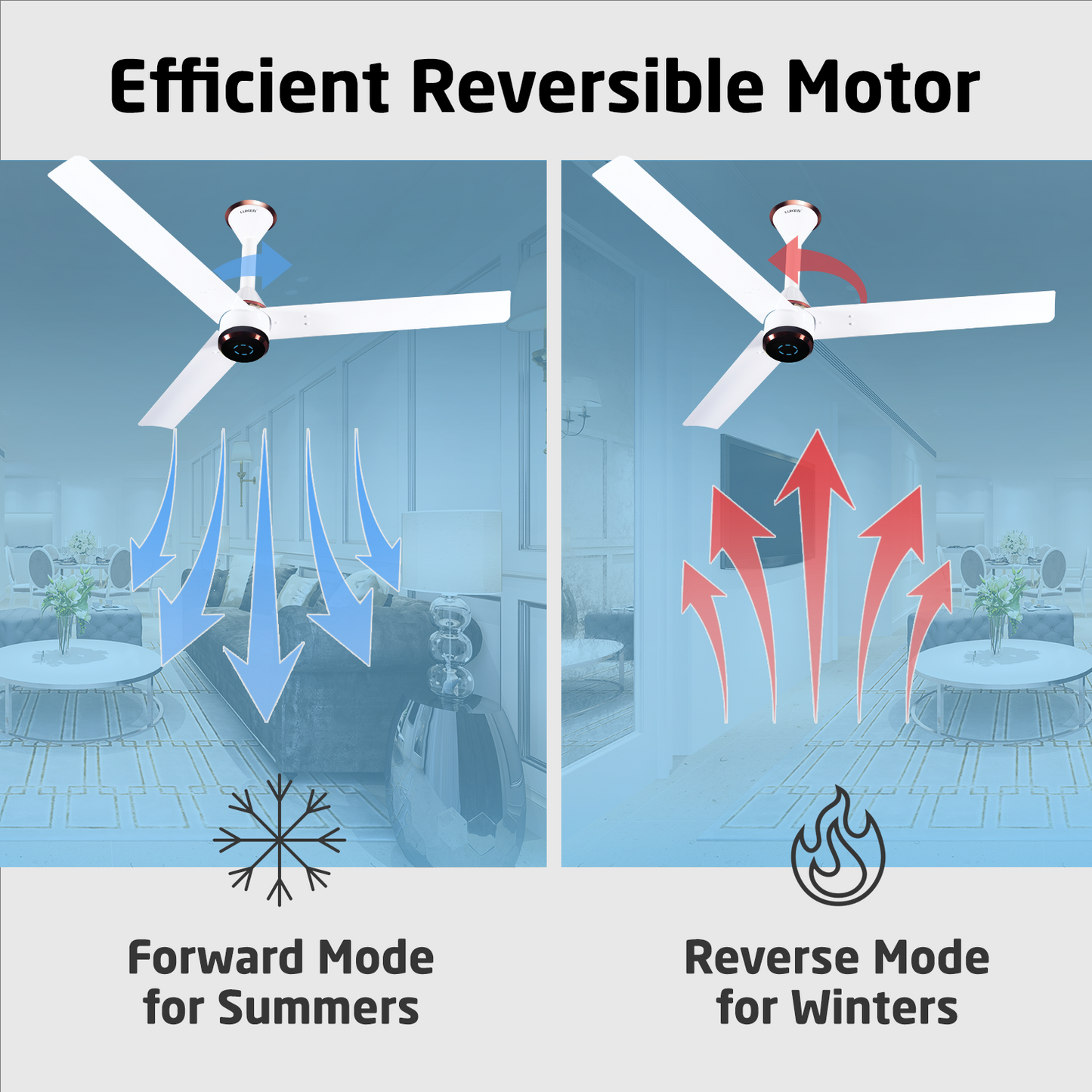 Size Zero Crown Plus BLDC Fan with IR Remote | 3-Year Warranty | 1200 mm | White White Black Copper Finish