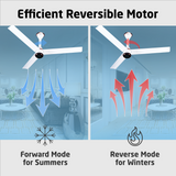 Size Zero Crown Plus BLDC Fan with IR Remote | 3-Year Warranty | 1200 mm | White White Black Copper Finish