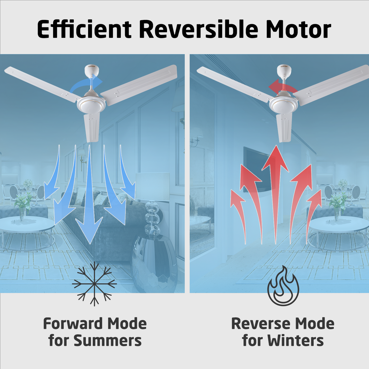 Nano XL Standard Ceiling Fan with Regulator | 2-Year Warranty | 1200 mm