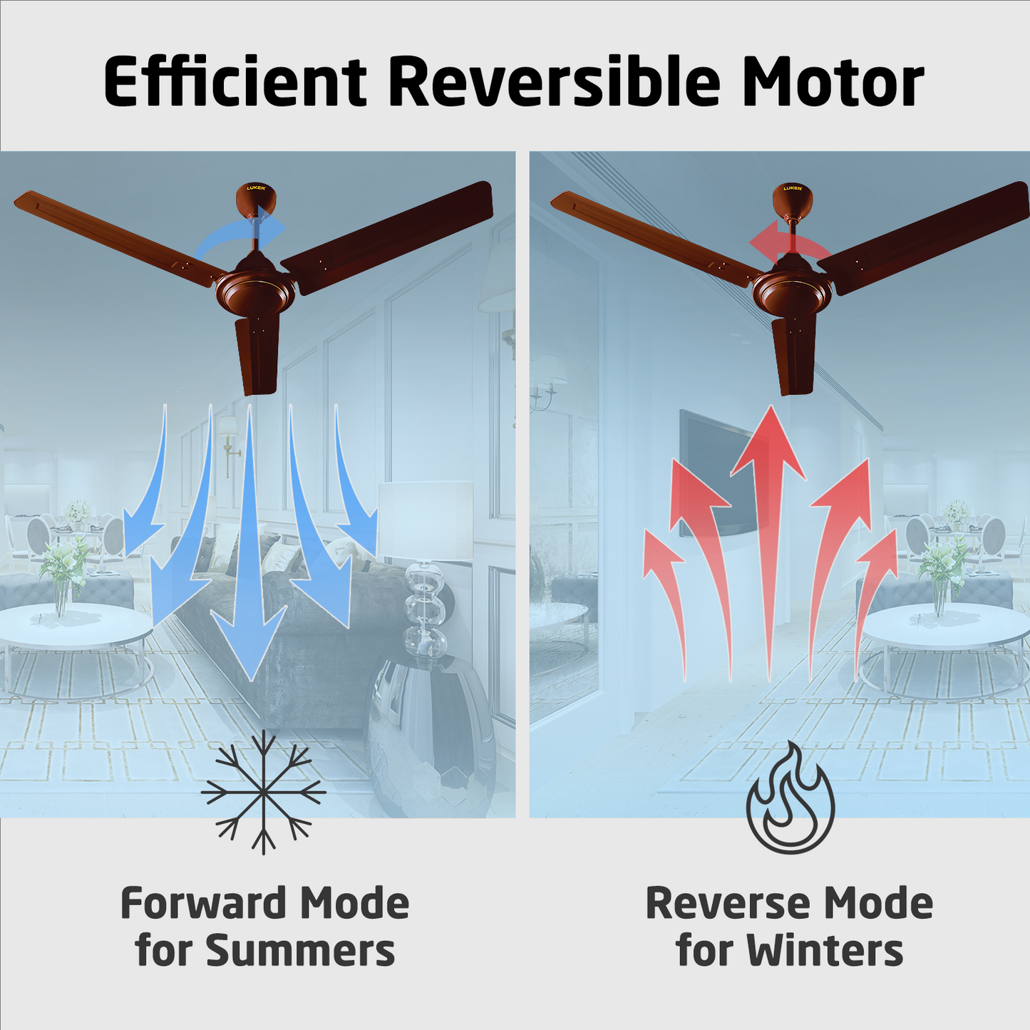 Nano XL Standard Ceiling Fan with Regulator | 2-Year Warranty | 1200 mm