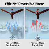 Nano XL Standard Ceiling Fan with Regulator | 2-Year Warranty | 1200 mm