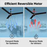 Size Zero Crown Plus BLDC Fan with IR Remote | 3-Year Warranty | 1200 mm | White White Black Copper Finish