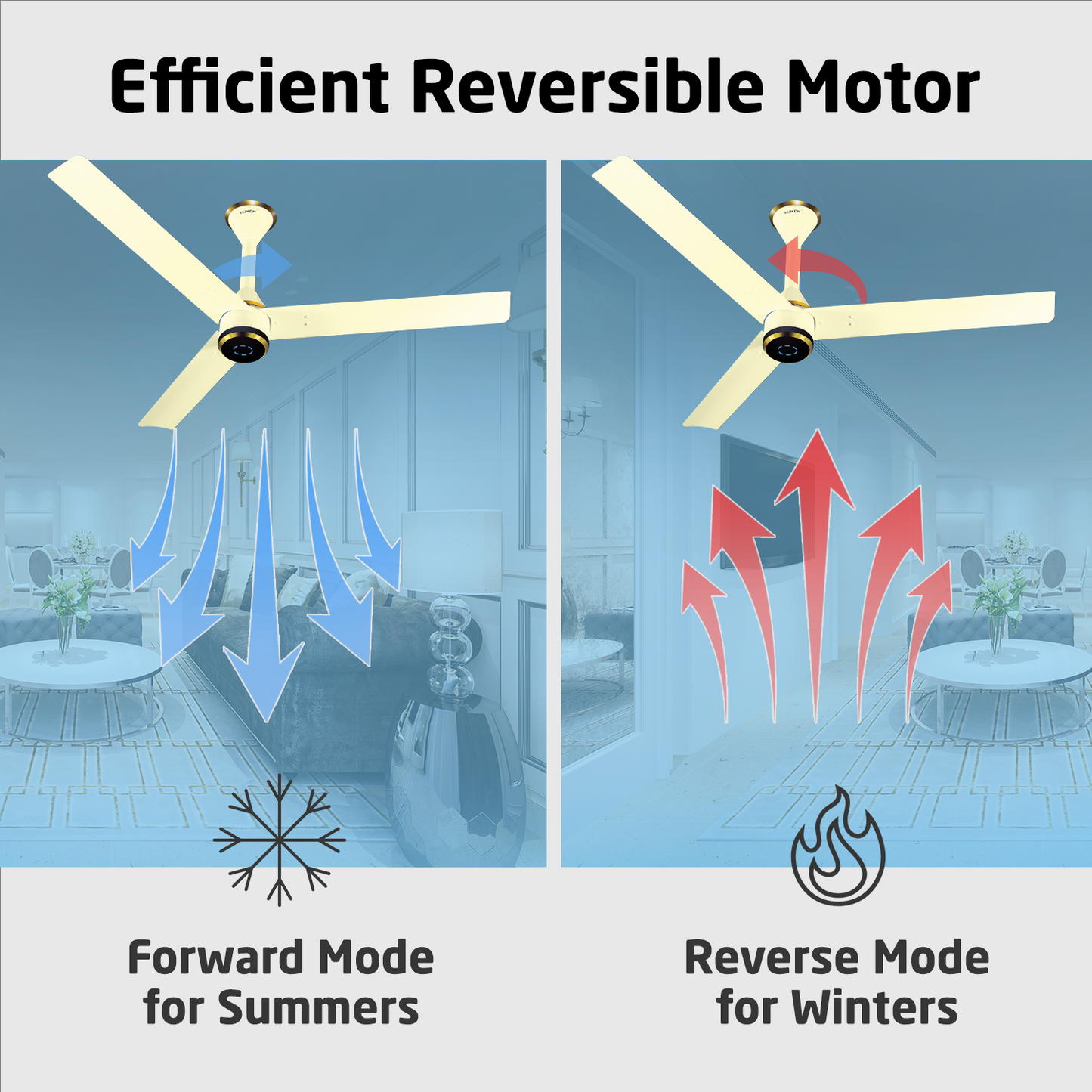 Size Zero Crown Plus BLDC Fan with IR Remote | 3-Year Warranty | 1200 mm | White White Black Copper Finish