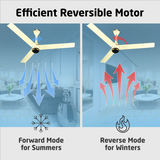 Size Zero Crown Plus BLDC Fan with IR Remote | 3-Year Warranty | 1200 mm | White White Black Copper Finish