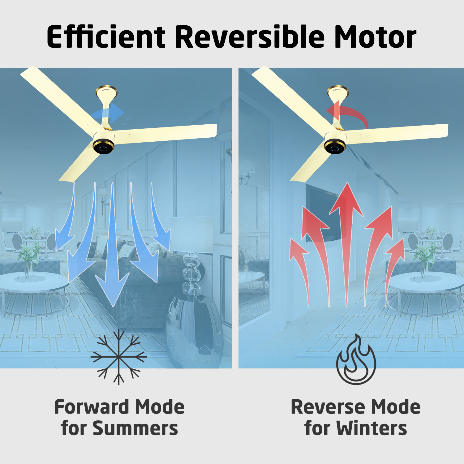 Size Zero Crown Plus BLDC Fan with IR Remote | 3-Year Warranty | 1200 mm | White White Black Copper Finish