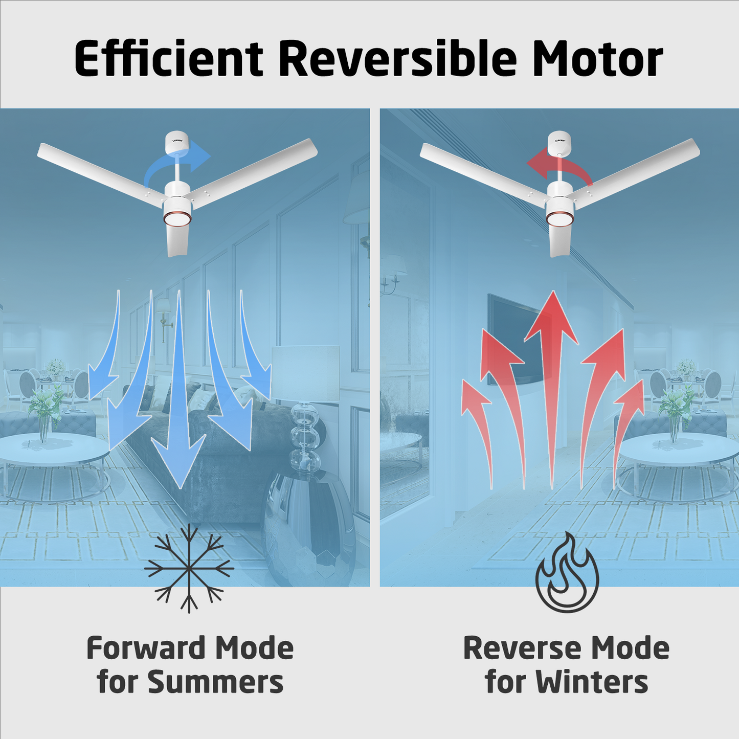 Size Zero Crown Glow BLDC Ceiling Fan with 3 Mode Underlight | IR Remote | 3-Year Warranty | 1200 mm | White White Copper Finish