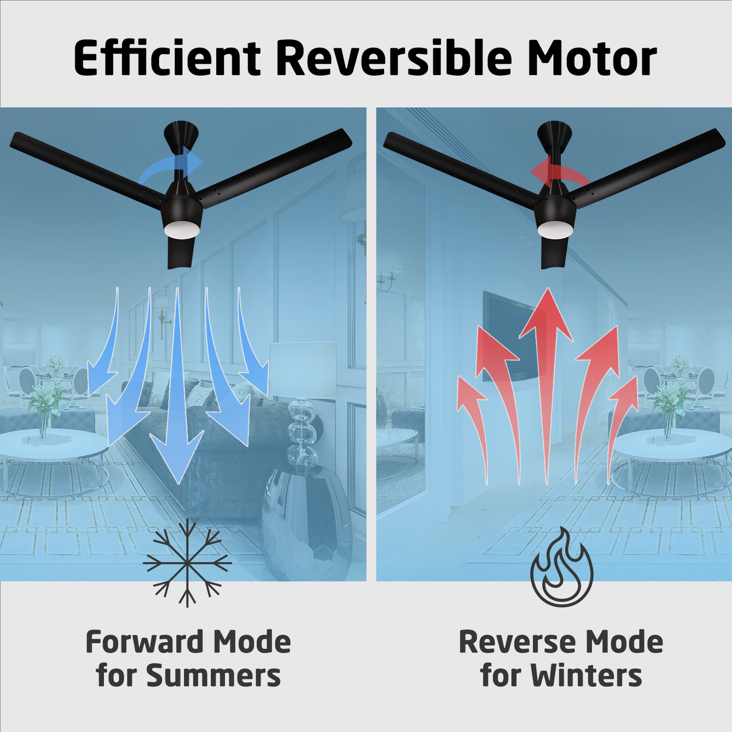Radial Glow BLDC Ceiling Fan with 3 Mode Underlight | IR Remote | 3-Year Warranty | 1200 mm