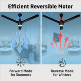 Radial Glow BLDC Ceiling Fan with 3 Mode Underlight | IR Remote | 3-Year Warranty | 1200 mm