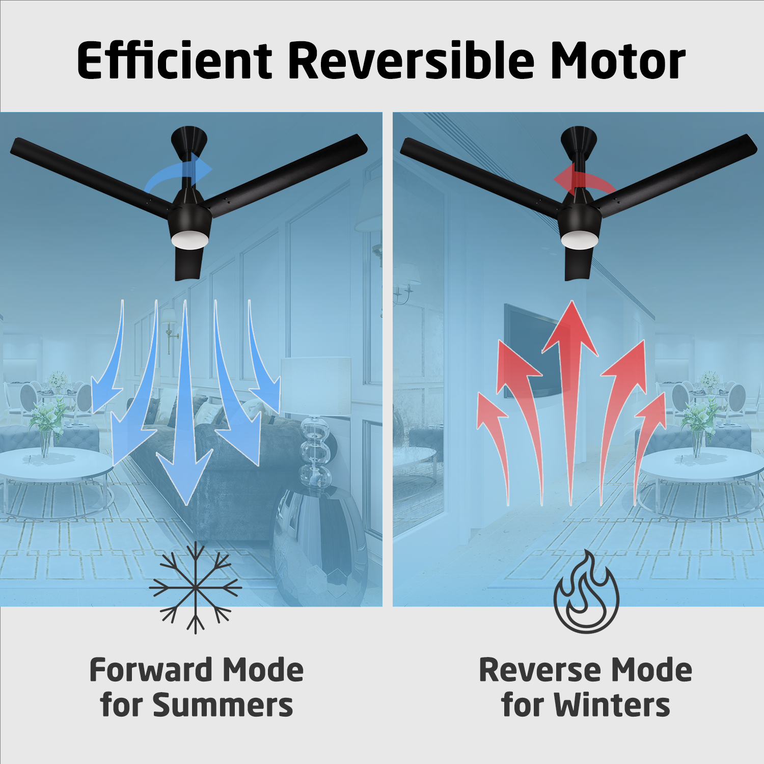 Radial Glow BLDC Ceiling Fan with 3 Mode Underlight | IR Remote | 3-Year Warranty | 1200 mm