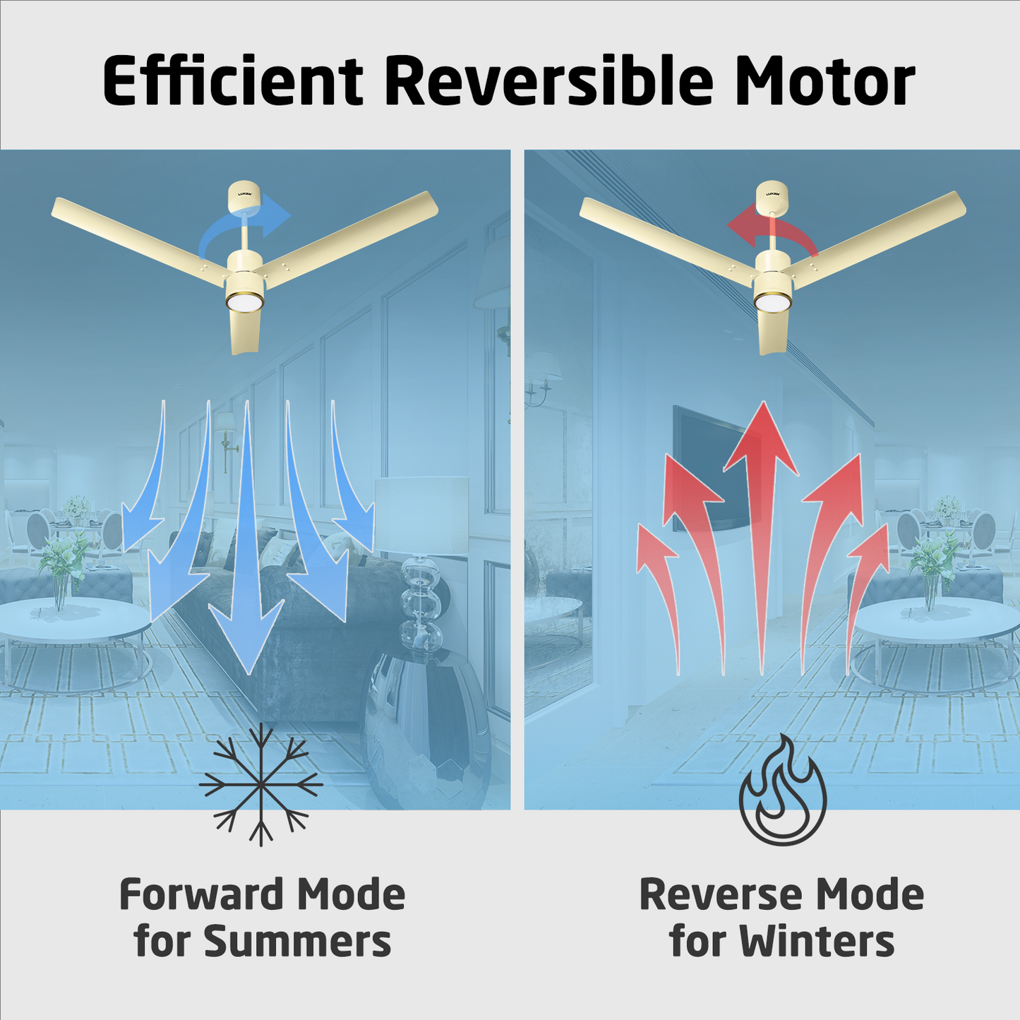 Size Zero Crown Glow BLDC Ceiling Fan with 3 Mode Underlight | IR Remote | 3-Year Warranty | 1200 mm