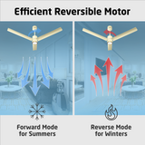 Size Zero Crown Glow BLDC Ceiling Fan with 3 Mode Underlight | IR Remote | 3-Year Warranty | 1200 mm