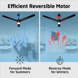 Size Zero Crown Glow BLDC Ceiling Fan with 3 Mode Underlight | IR Remote | 3-Year Warranty | 1200 mm