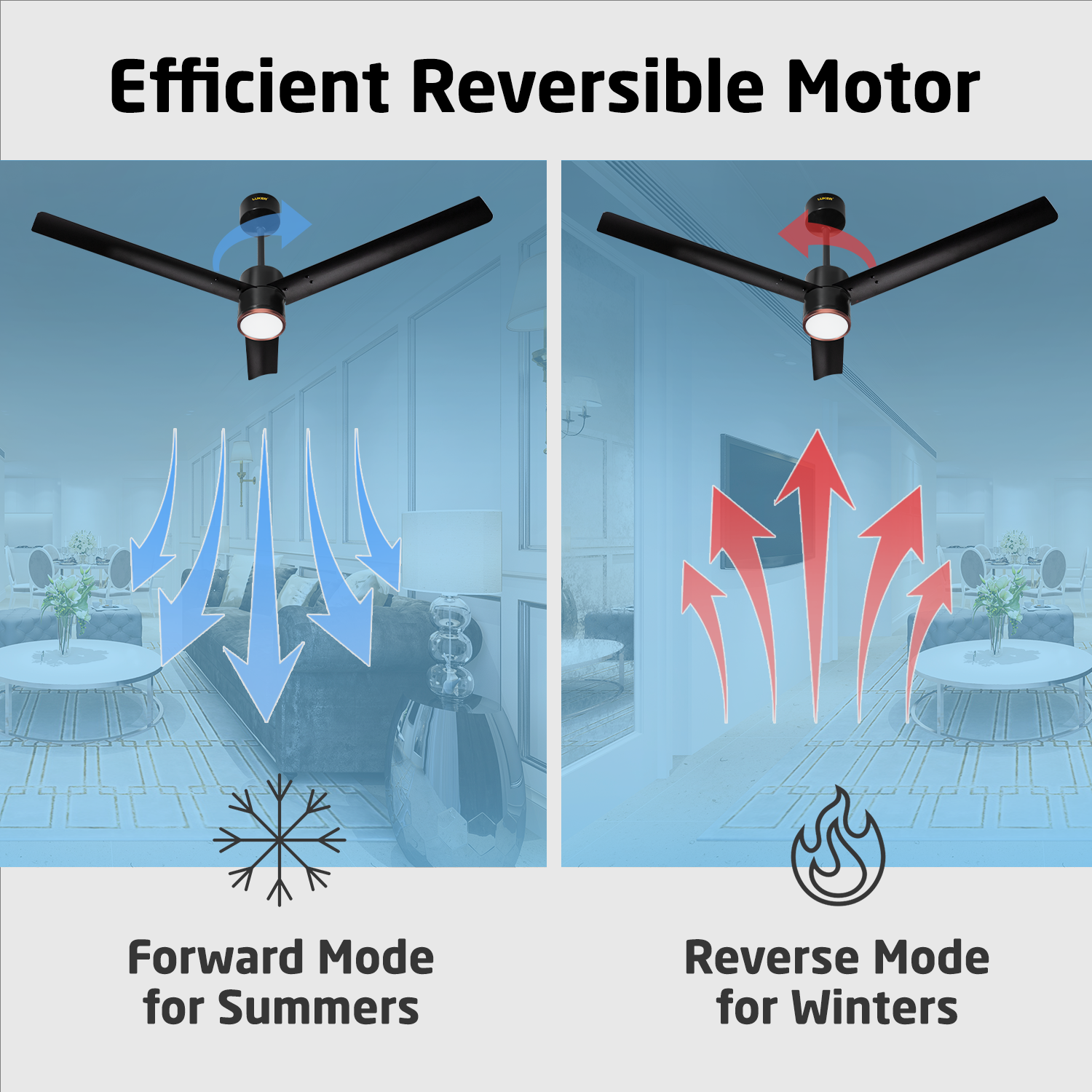 Size Zero Crown Glow BLDC Ceiling Fan with 3 Mode Underlight | IR Remote | 3-Year Warranty | 1200 mm
