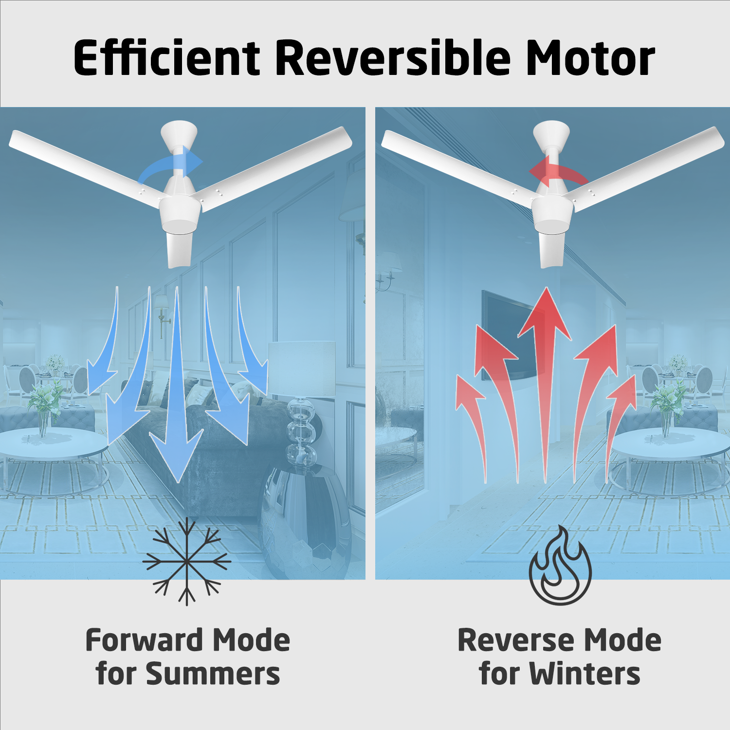 Radial Glow BLDC Ceiling Fan with 3 Mode Underlight | IR Remote | 3-Year Warranty | 1200 mm