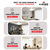 Diana BLDC Ceiling Fan with 3 Mode Underlight | RF Remote | 2 Year Warranty | 1050 mm