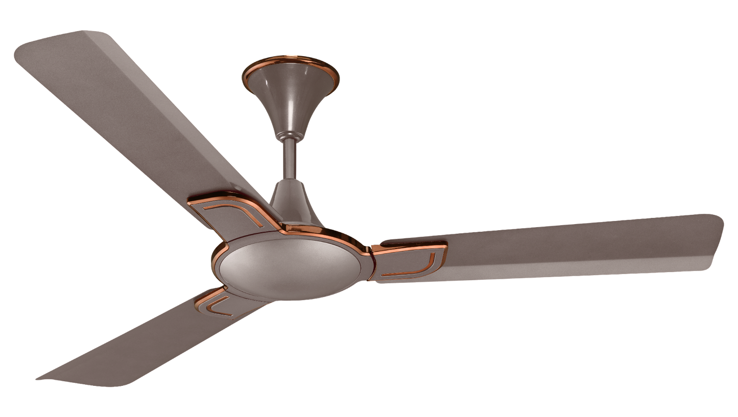 Valentine Standard Ceiling Fan with Regulator | 2-Year Warranty | 1200 mm