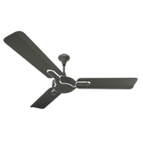 Blaze Standard Ceiling Fan with Regulator | 2-Year Warranty | 1200 mm