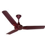 Brizz Standard Ceiling Fan with Regulator | 2-Year Warranty | 1200 mm
