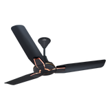 Brizz Standard Ceiling Fan with Regulator | 2-Year Warranty | 1200 mm