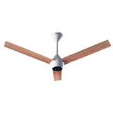 Radial Wood BLDC Ceiling Fan with IR Remote | 3-Year Warranty | 1200 mm